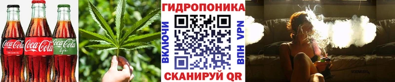 Cannafood марихуана  blacksprut tor  Кремёнки 