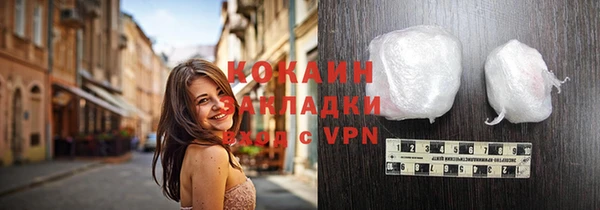 шишки Армянск