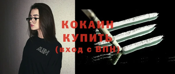 индика Балабаново