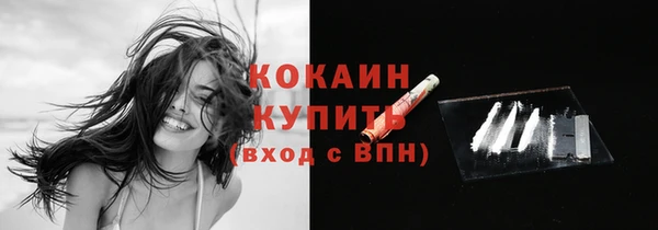 прущие грибы Арсеньев