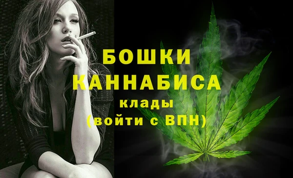 индика Балабаново