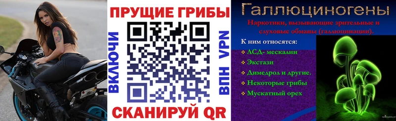Псилоцибиновые грибы Magic Shrooms мега сайт Кремёнки купить наркотики цена